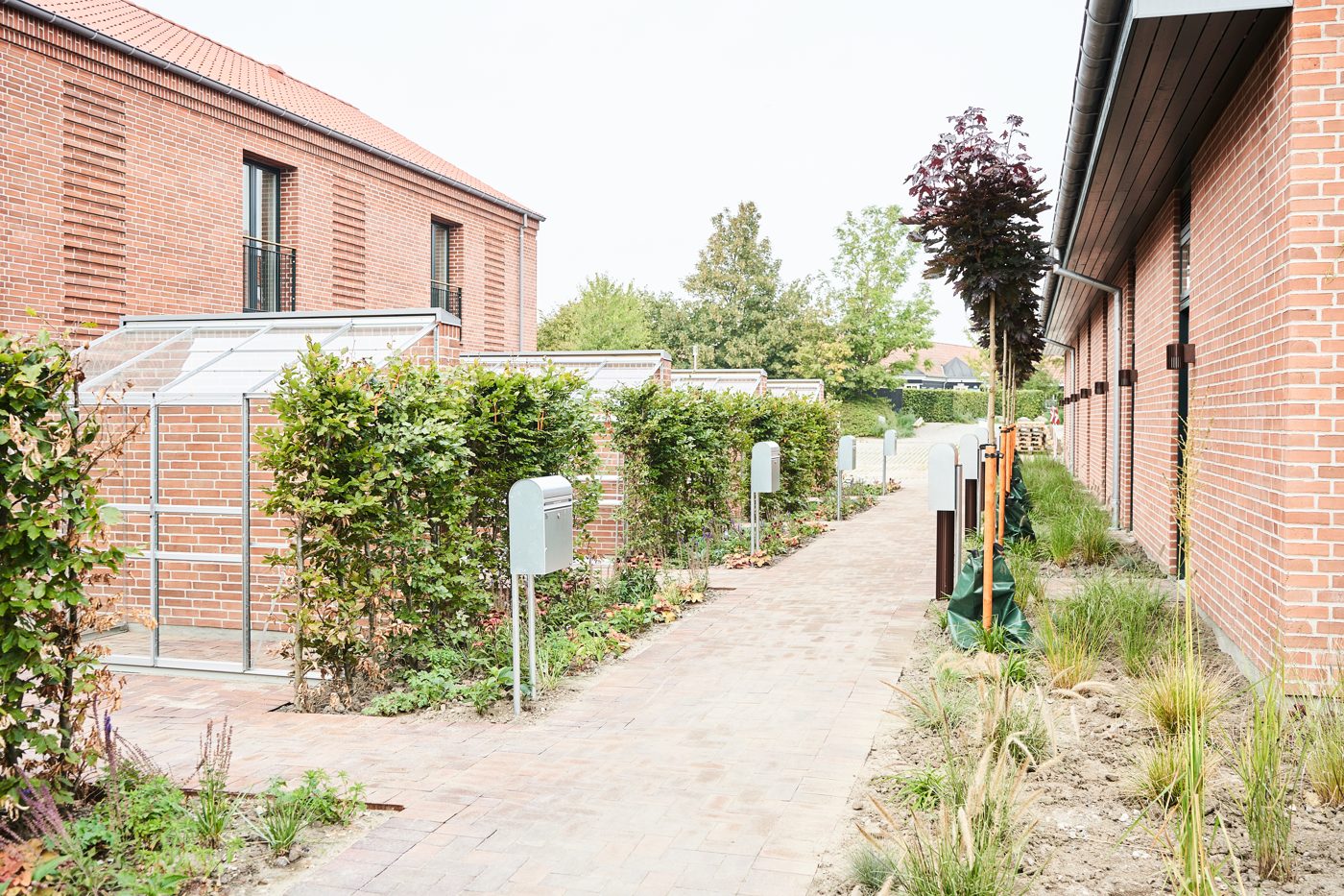Drivhuse og grønne haver på Grønnegårds Allé, Kerteminde